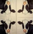 176 Cows - 3-ply - Ihr